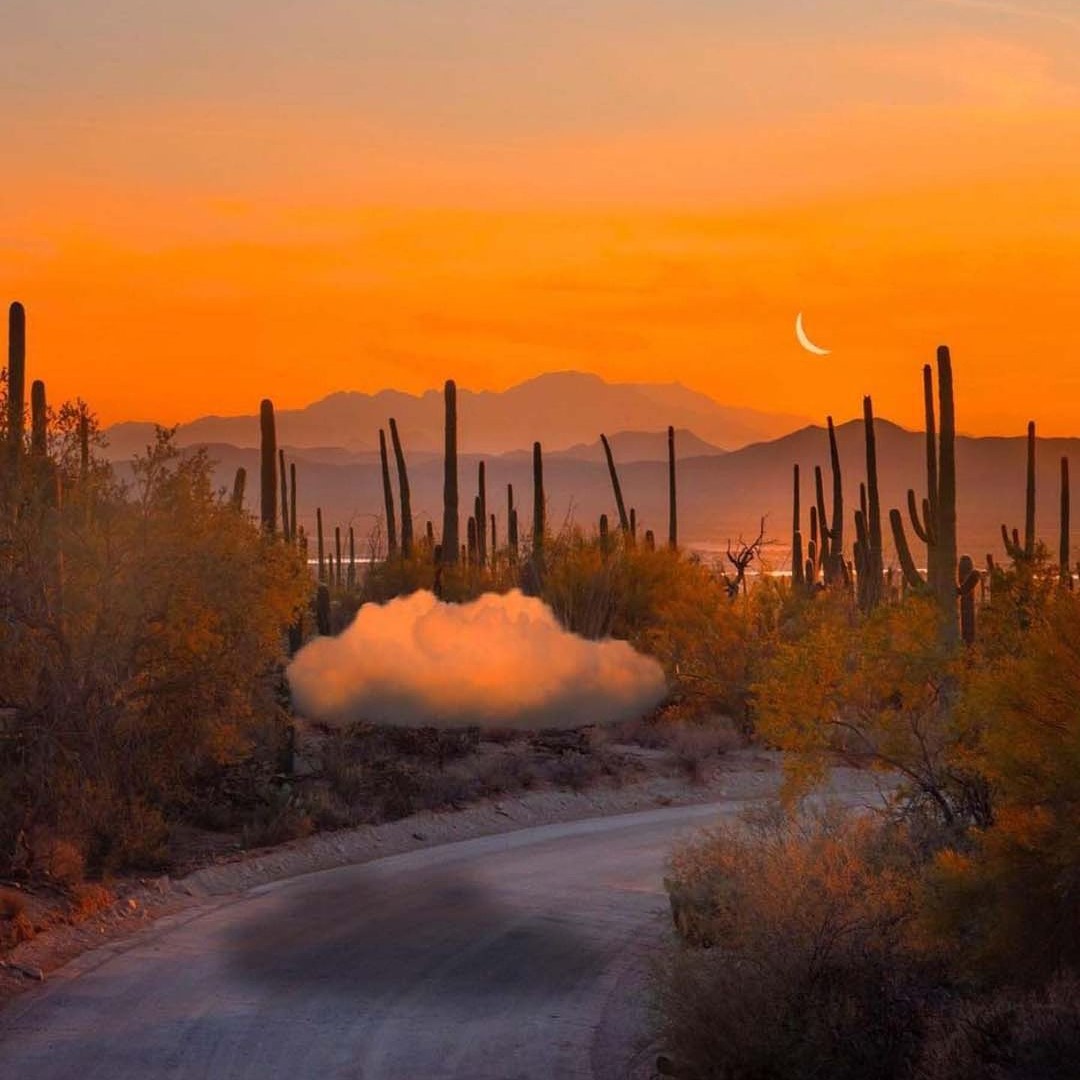 A small cloud resting on a desert road at sunset, cactus and mountains behind it.