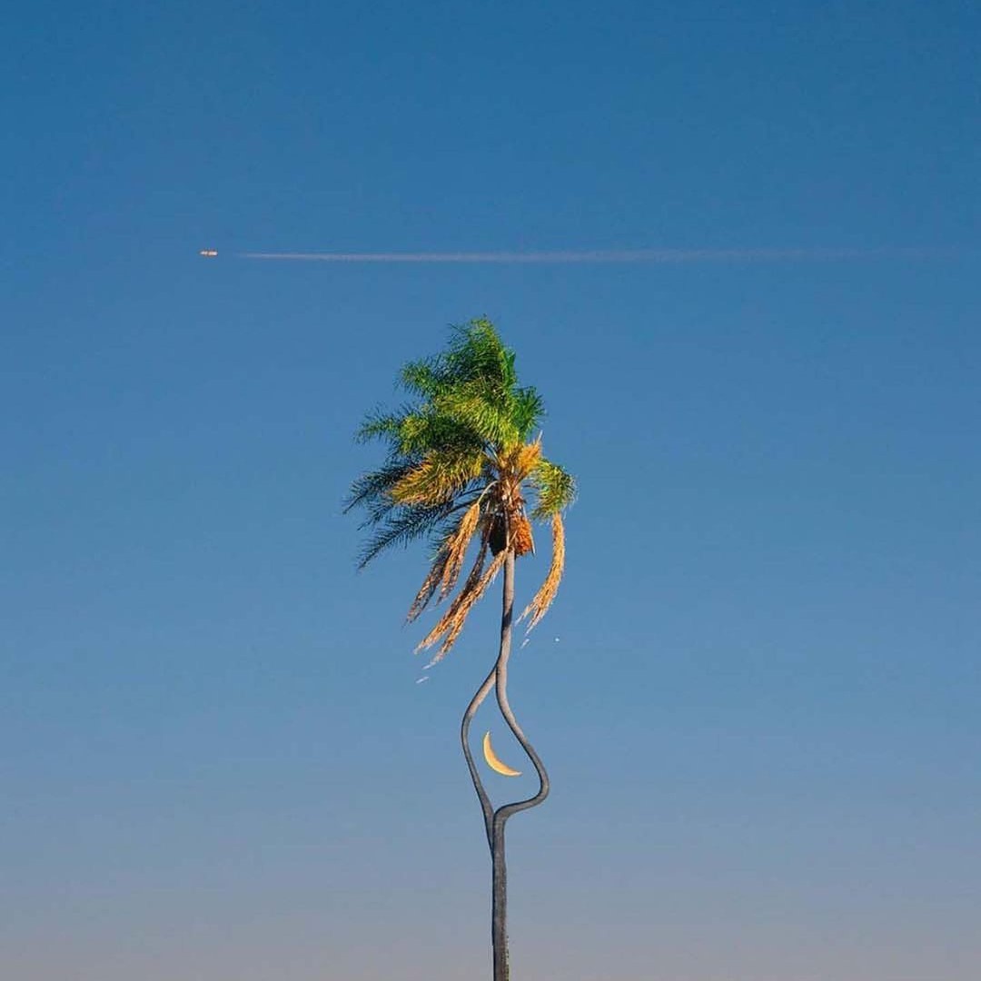 A palm tree whose trunk bends into a loop, with the crescent moon caught inside it.